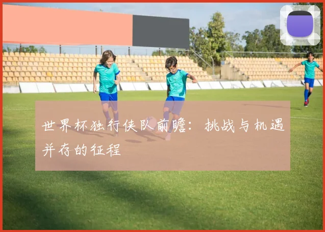 世界杯独行侠队前瞻:挑战与机遇并存的征程